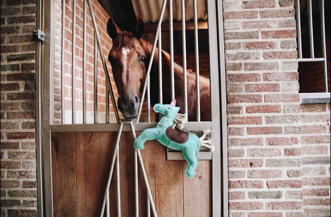 2018 Horsey Christmas Present Guide