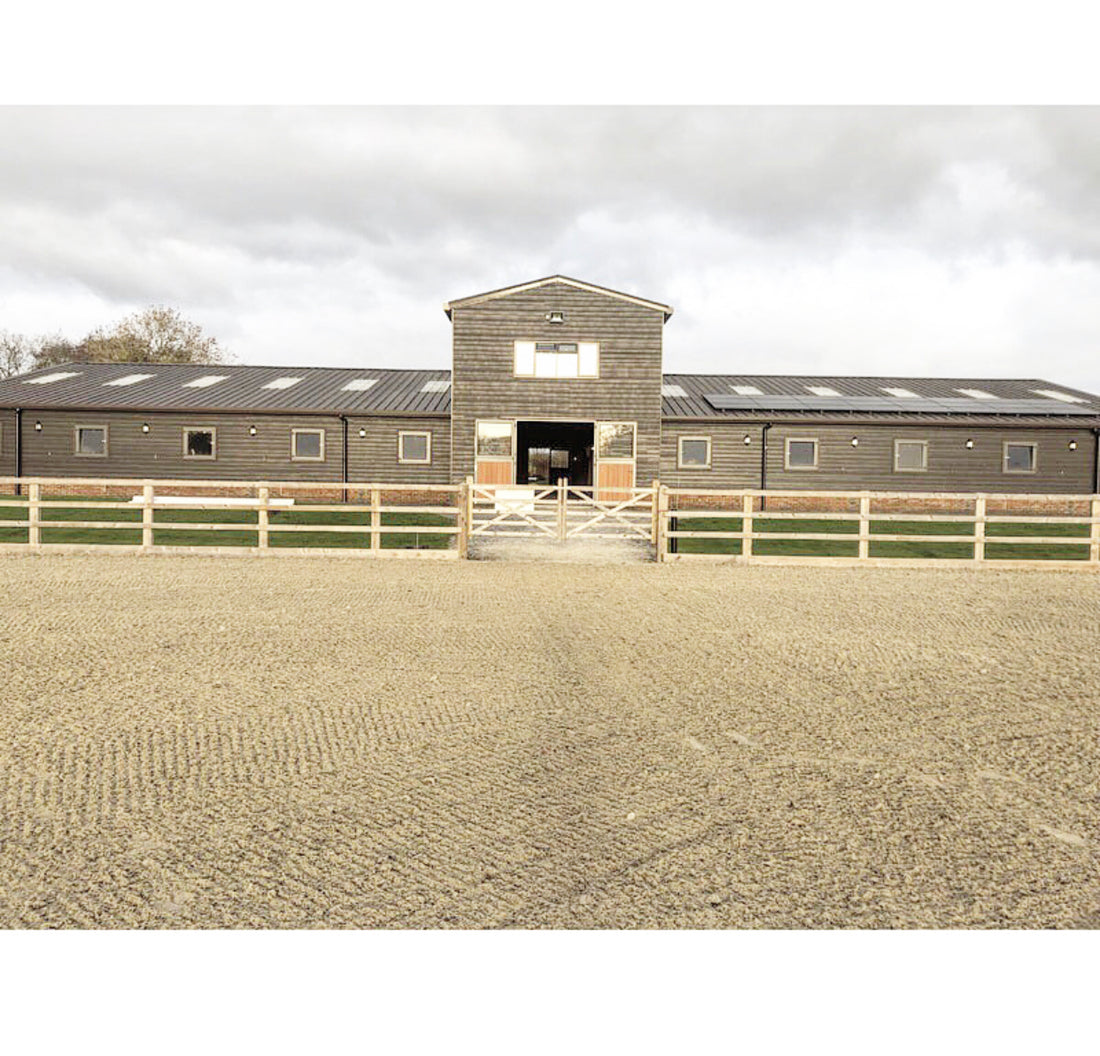 Bella Rose Ponies Visit Little London Stud
